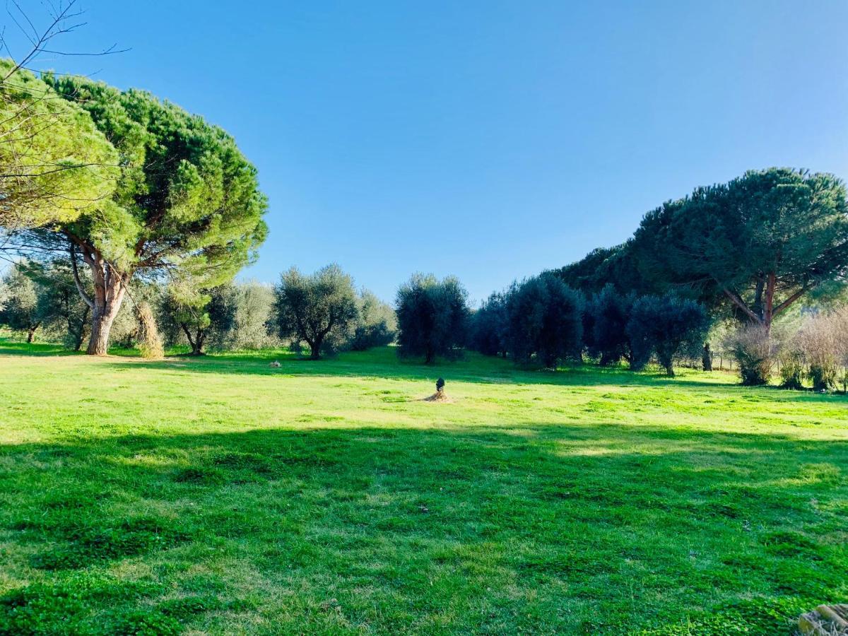 Apartamento Il Borghetto Di Ansedónia Exterior foto