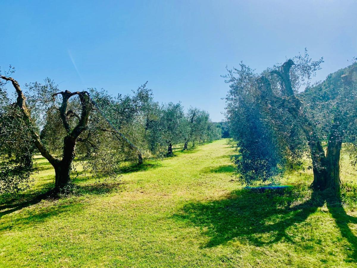 Apartamento Il Borghetto Di Ansedónia Exterior foto