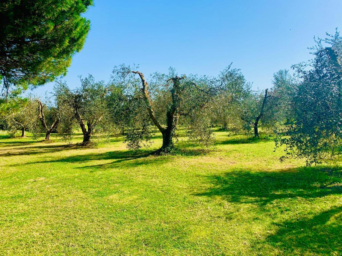 Apartamento Il Borghetto Di Ansedónia Exterior foto