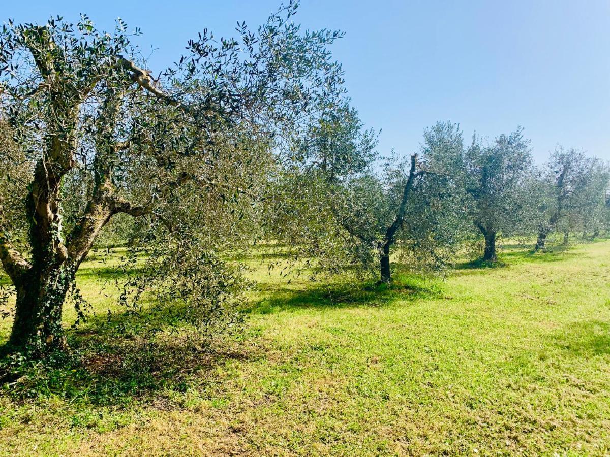 Apartamento Il Borghetto Di Ansedónia Exterior foto