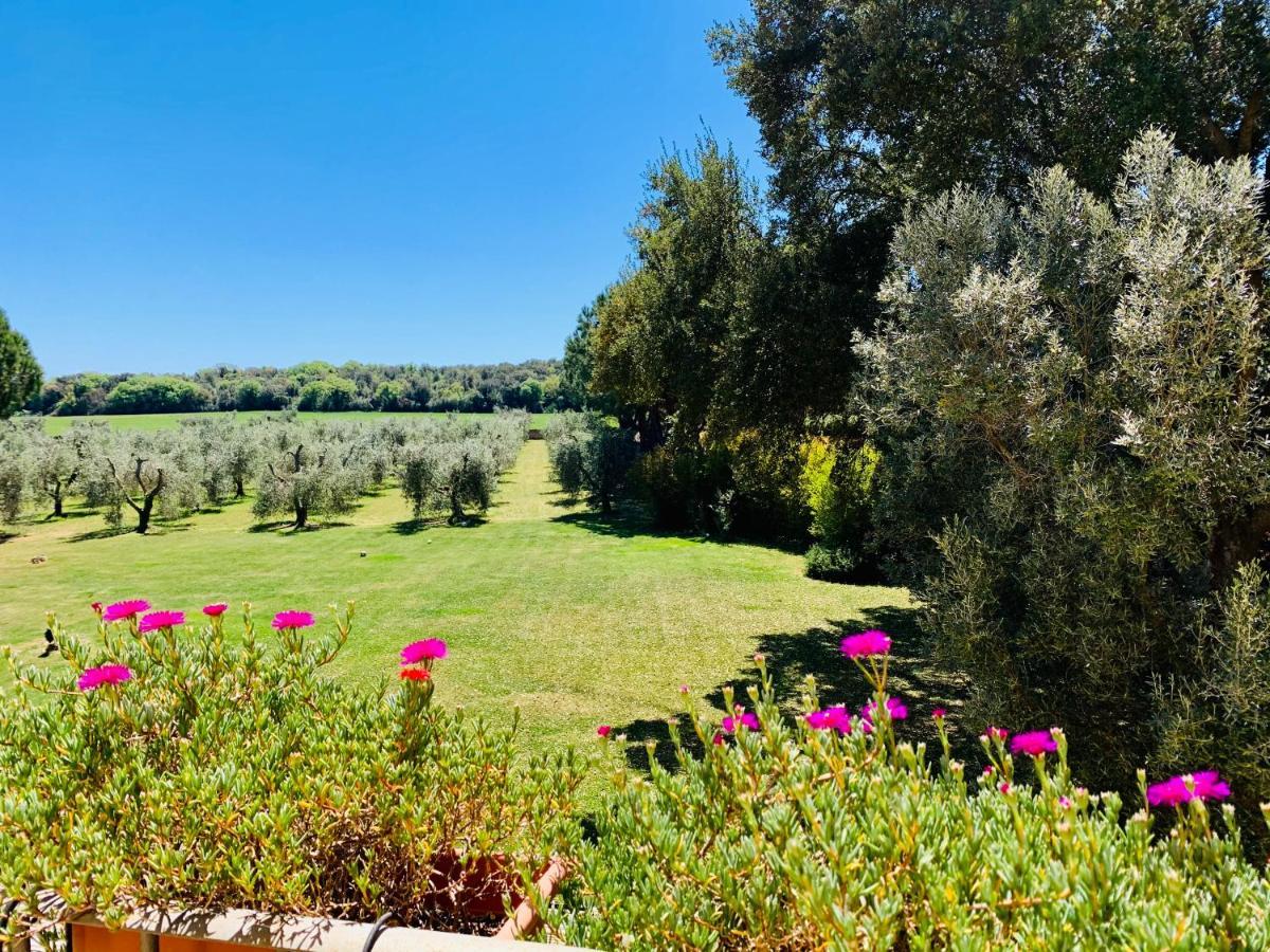 Apartamento Il Borghetto Di Ansedónia Exterior foto