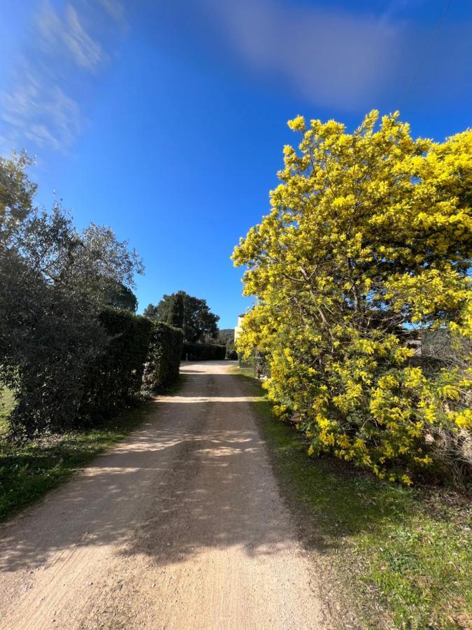 Apartamento Il Borghetto Di Ansedónia Exterior foto