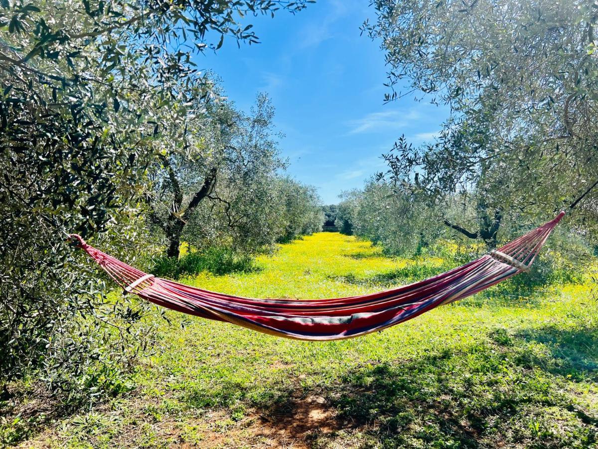 Apartamento Il Borghetto Di Ansedónia Exterior foto
